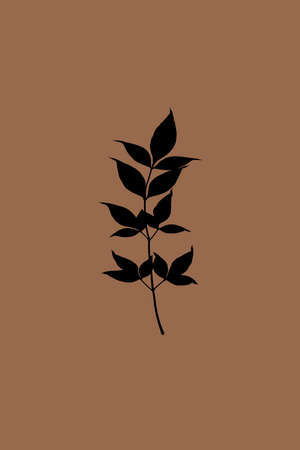 Printable minimalist botanical illustration. Wall paintings. Home decor.