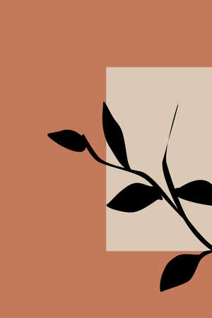 Printable minimalist botanical illustration. Wall paintings. Home decor.の写真素材