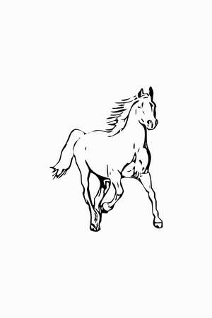 Animal illustration. Black silhouette of a horse on a white background.の写真素材