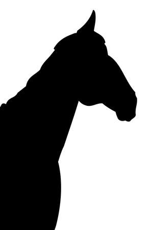 Animal illustration. Black silhouette of a horse on a white background.の写真素材