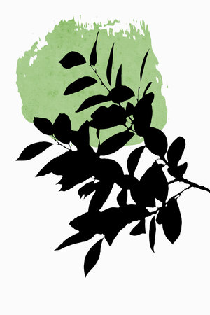 Printable trendy botanical card. Use for cover, wallpaper, wall art.の写真素材