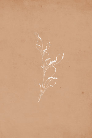 Neutral wall art. Printable botanical illustration. Modern wall decoration for the room. Modern house. Cover design, wallpaper.の写真素材