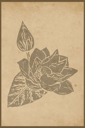 Botanical wall art. Line art of plants, drawing with abstract shape. Abstract design for framed wall prints, canvas prints, posters, home decor. Vintage.の写真素材