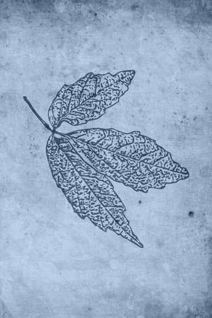 Neutral wall art. Abstract painting. Printable illustration. Modern rustic wall decoration for the room. Modern house. Cover design, wallpaper.の写真素材