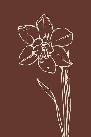 Printable trendy botanical card. Use for cover, wallpaper, wall art.の写真素材