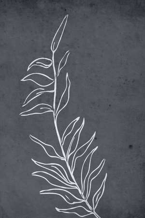 Printable trendy botanical card. Use for cover, wallpaper, wall art. Modern rustic wall decoration for the room. Leavesの写真素材