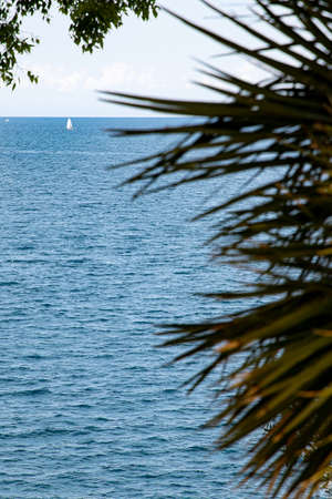 Beautiful landscape on the Adriatic Sea. Blue water on a sunny April day. Istria peninsula Pula Croatiaの写真素材