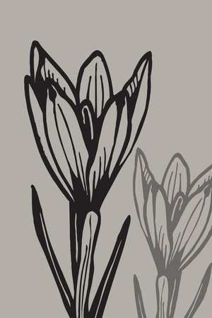 Minimalist wall art. Botanical pattern for framed wall prints, canvas prints, posters, home decor.の写真素材