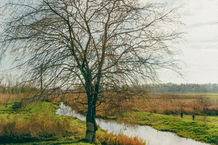 Watercolor painting on canvas. Krasnik Poland. Travel illustration.の写真素材
