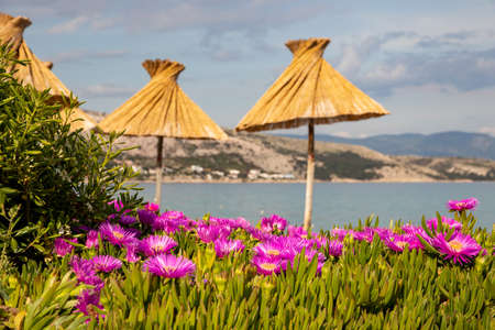 Baska Croatia, May 3, 2022. Beautiful landscape on the island of Krk.の写真素材