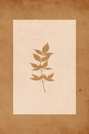 Printable trendy botanical card. Use for cover, wallpaper, wall art.の写真素材