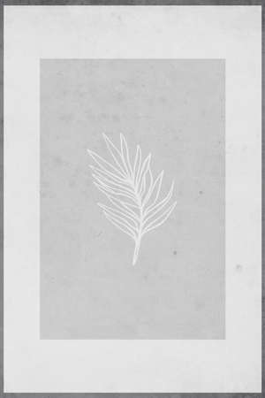 Printable trendy botanical card. Use for cover, wallpaper, wall art.の写真素材