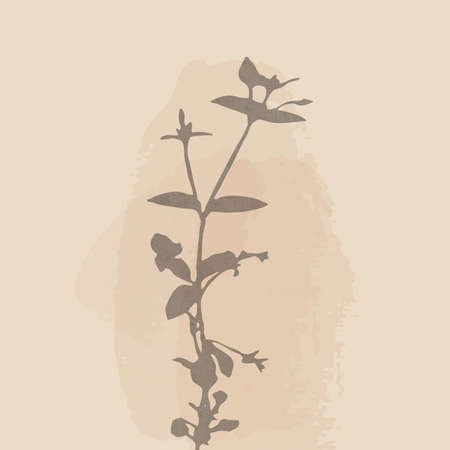 Printable trendy botanical card. Use for cover, wallpaper, wall art.の写真素材