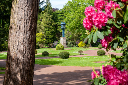Beautiful landscape in a park in Wolverhampton.の写真素材