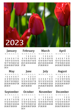 Botanical calendar for 2023. Vertical wall calendar, week starts Monday.