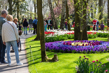 April 14, 2022 Lisse, The Netherlands. Beautiful public garden with spring flowers blooming. Popular tourist site.のeditorial素材