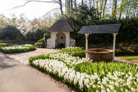 April 14, 2022 Lisse, The Netherlands. Beautiful public garden with spring flowers blooming. Popular tourist site.のeditorial素材