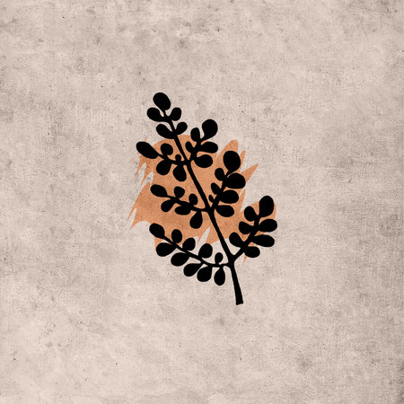 Illustration in vintage old grunge style. Design for cover, wallpaper. Botanical formula. Leavesの写真素材