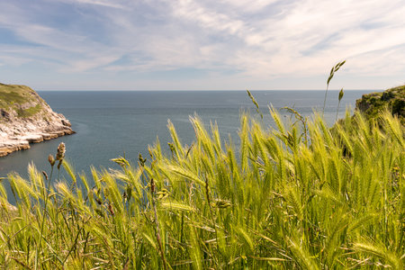 Brixham-Beautiful Landscape in the UK.の写真素材