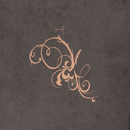 Printable trendy botanical card. Use for cover, wallpaper, wall art. Brown color.の写真素材