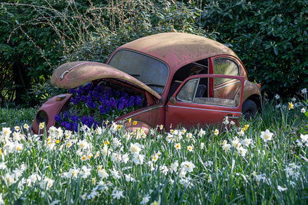 April 14, 2022 Lisse, The Netherlands. Beautiful public garden with blooming spring flowers. Popular...