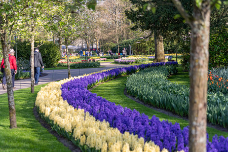 April 14, 2022 Lisse, The Netherlands. Beautiful public garden with blooming spring flowers. Popular tourist site.のeditorial素材