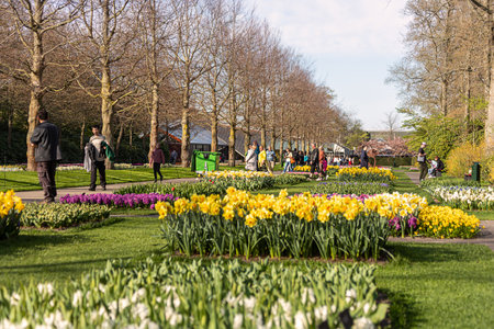 April 14, 2022 Lisse, The Netherlands. Beautiful public garden with blooming spring flowers. Popular tourist site.のeditorial素材