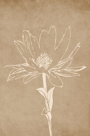 Printable trendy botanical card. Use for cover, wallpaper, wall art. vintage grunge old . brown color .の写真素材