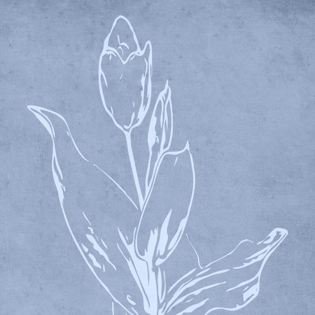 Printable trendy botanical card. Use for cover, wallpaper, wall art.の写真素材