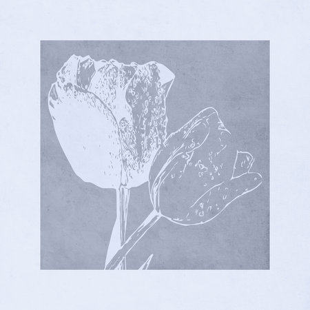 Printable trendy botanical card. Use for cover, wallpaper, wall art.の写真素材