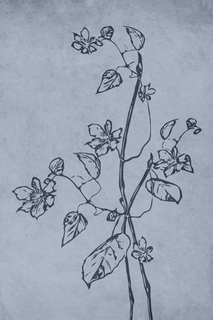 Printable trendy botanical card. Use for cover, wallpaper, wall art.の写真素材