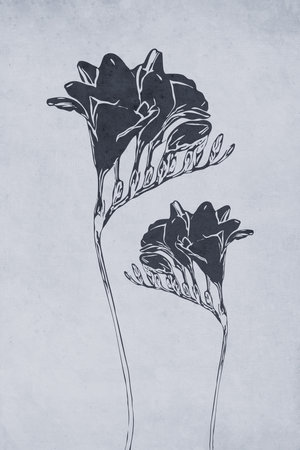 Printable trendy botanical card. Use for cover, wallpaper, wall art.の写真素材