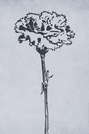 Printable trendy botanical card. Use for cover, wallpaper, wall art.の写真素材