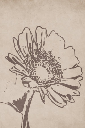 Printable trendy botanical card. Use for cover, wallpaper, wall art.の写真素材