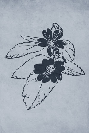 Printable trendy botanical card. Use for cover, wallpaper, wall art.の写真素材