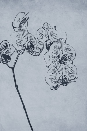 Printable trendy botanical card. Use for cover, wallpaper, wall art.の写真素材