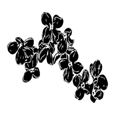 Vector illustration. Black flowers on a white background.のイラスト素材
