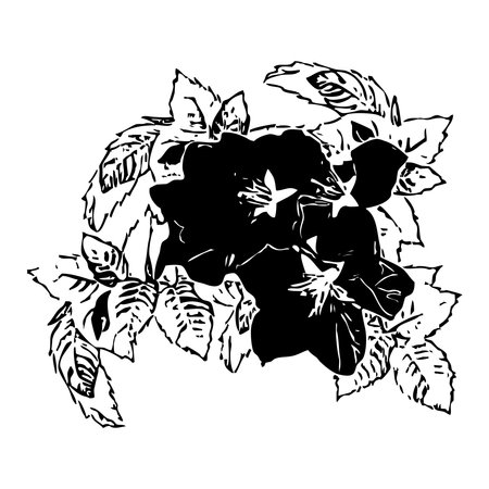 Vector illustration. Black flowers on a white background.のイラスト素材