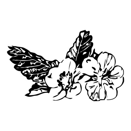 Vector illustration. Black flowers on a white background.のイラスト素材