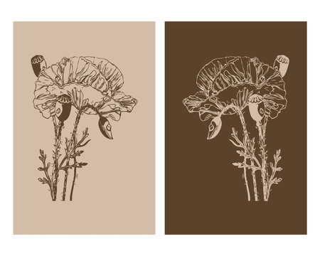 Set of 2 Botanical wall art. Line art tropical drawing with abstract shape.のイラスト素材