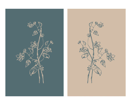 Set of 2 Botanical wall art. Line art tropical drawing with abstract shape.のイラスト素材