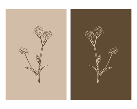 Set of 2 Botanical wall art. Line art tropical drawing with abstract shape.のイラスト素材