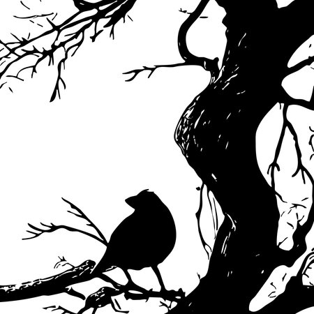 minimalistic illustration. Black bird on a tree on a white background.の写真素材