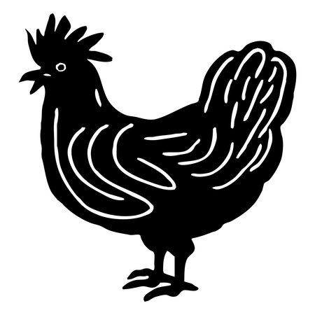 animal illustration. Black hen on a white background.の写真素材