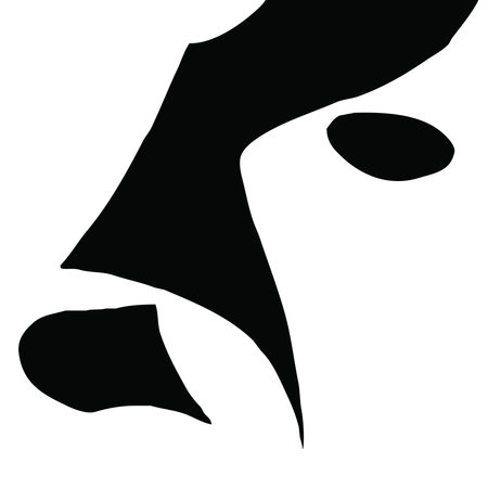 Black and white abstract illustration. Design for clothes, textiles, wall decorations.の写真素材