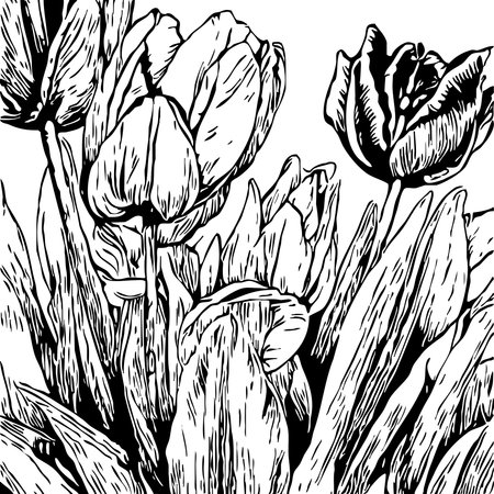 Botanical pattern on a white background. black flowersの写真素材
