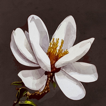Magnolia. Watercolor painting on canvas. Printable botanical illustration, fabric pattern, for use in graphic arts.の写真素材