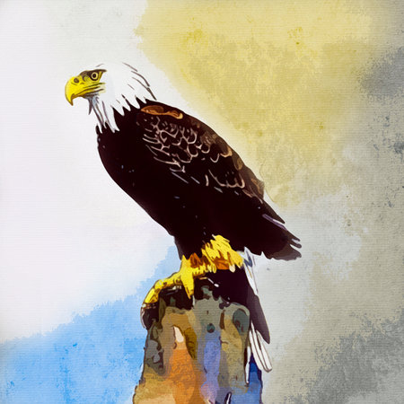 Watercolor painting on canvas. Nature illustration of an Eagle.の素材