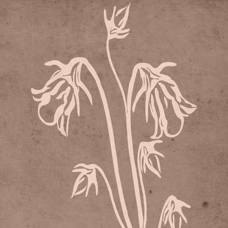 Neutral wall art. abstract paintings. Printable illustration. Modern rustic wall decoration for the room. modern house . Cover design, wallpaper.の写真素材