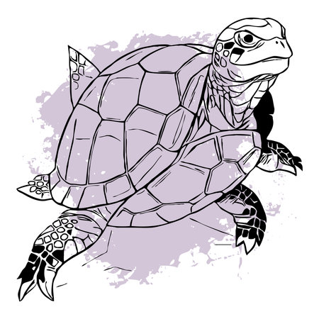 Turtle. Black and white line art. design for use in graphics. T-shirt print, tattoo design. Not generated by Aiの写真素材